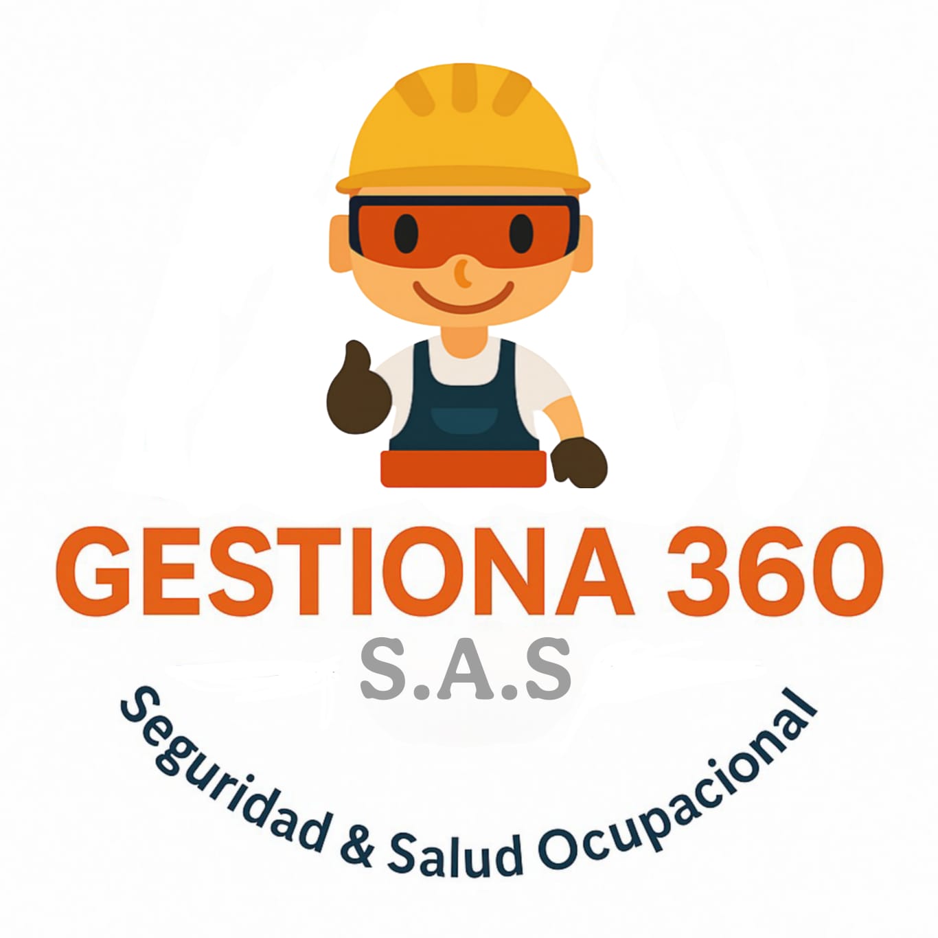 SEINSAA Logo